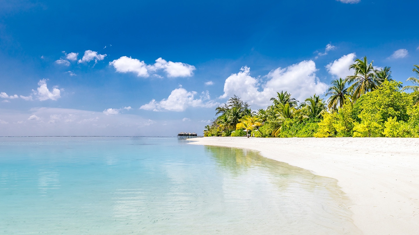 Tropical Beach Collection 2